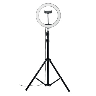 Zestaw lamp  LED 26 cm - MO6241 (MOCN#03)