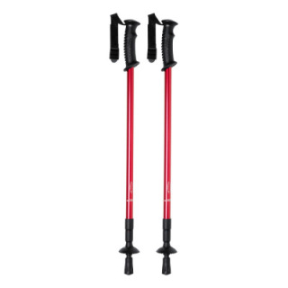 Kijki do nordic walking - AP721481 (ANDA#05)