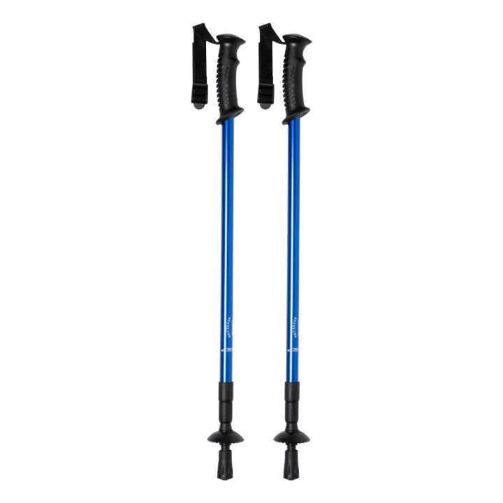 Kijki do nordic walking - AP721481 (ANDA#06)