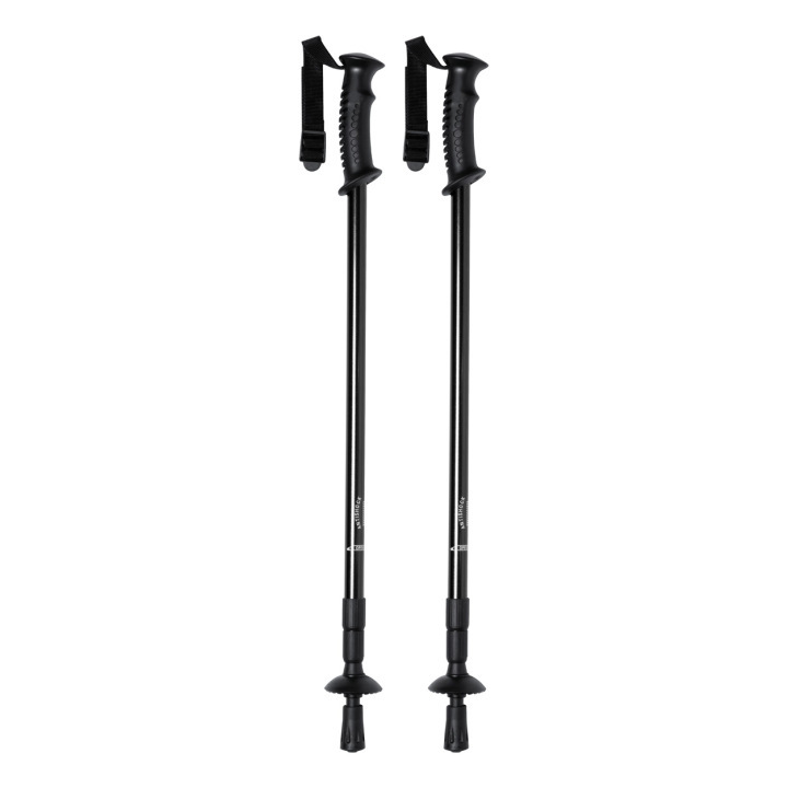 Kijki do nordic walking - AP721481 (ANDA#10)