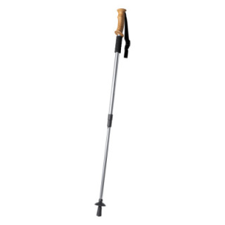 Kij do nordic walking - AP722502 (ANDA#21)