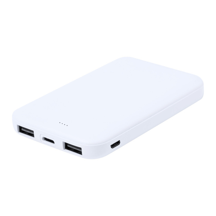 Power bank RABS - AP733949 (ANDA#01)