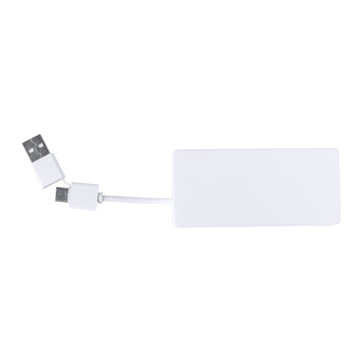 Hub USB RABS - AP733952 (ANDA#01)