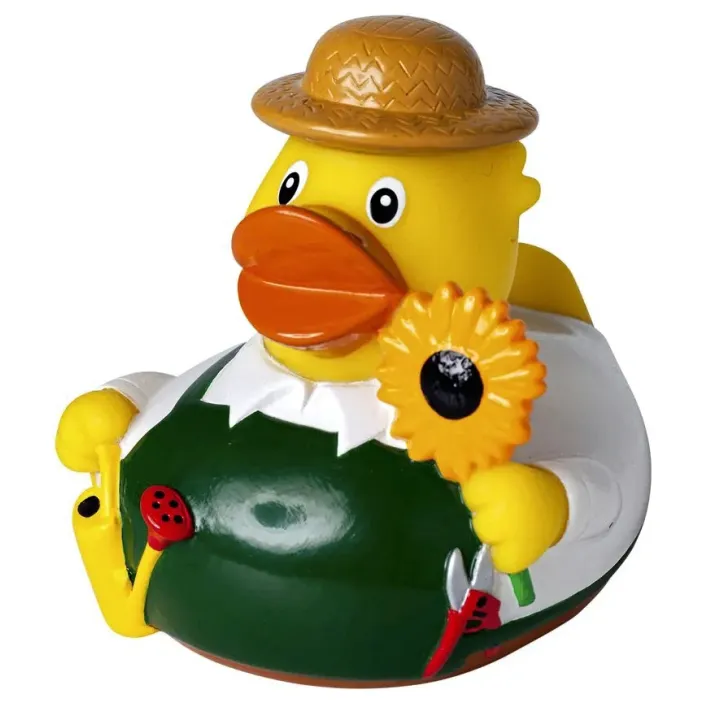 Duck in a funny costume - LS MBW31