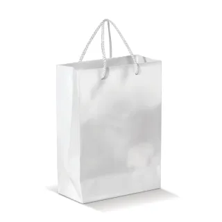 Paper bag small - LT91511