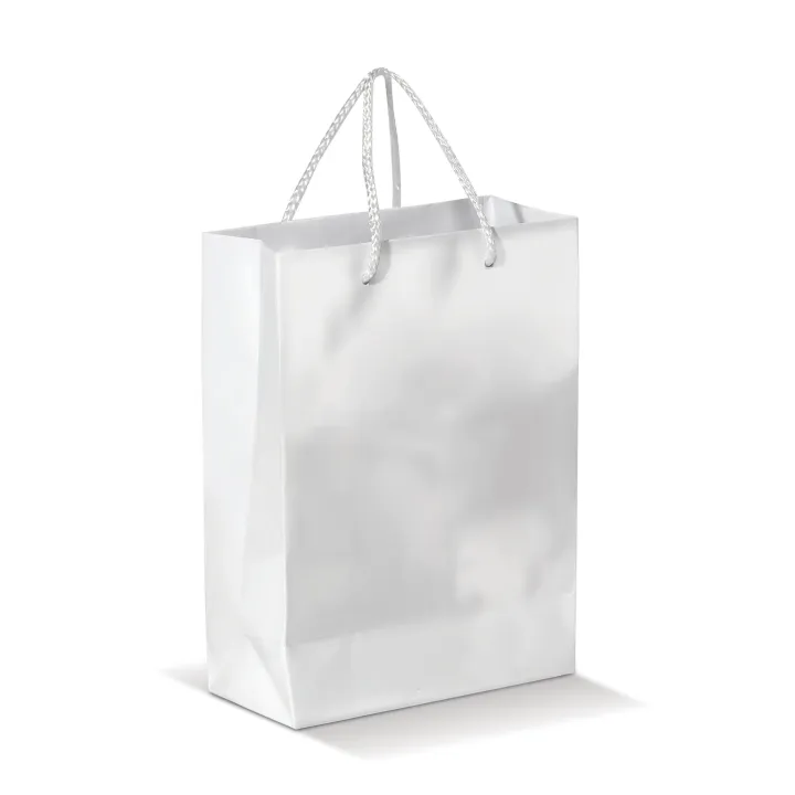 Paper bag small - LT91511