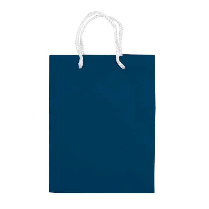 Paper bag small - LT91511