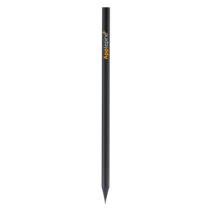 Black pencil - LT91582