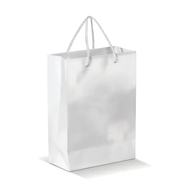 Paper bag small - LT91511 (N0001)