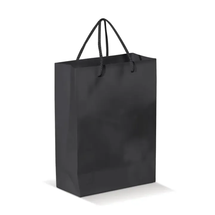 Paper bag small - LT91511 (N0002)