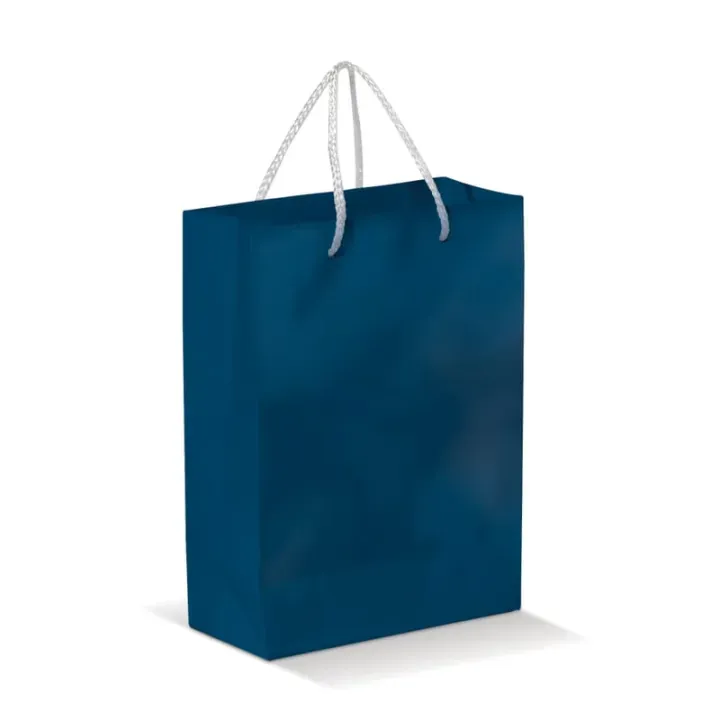 Paper bag small - LT91511 (N0010)