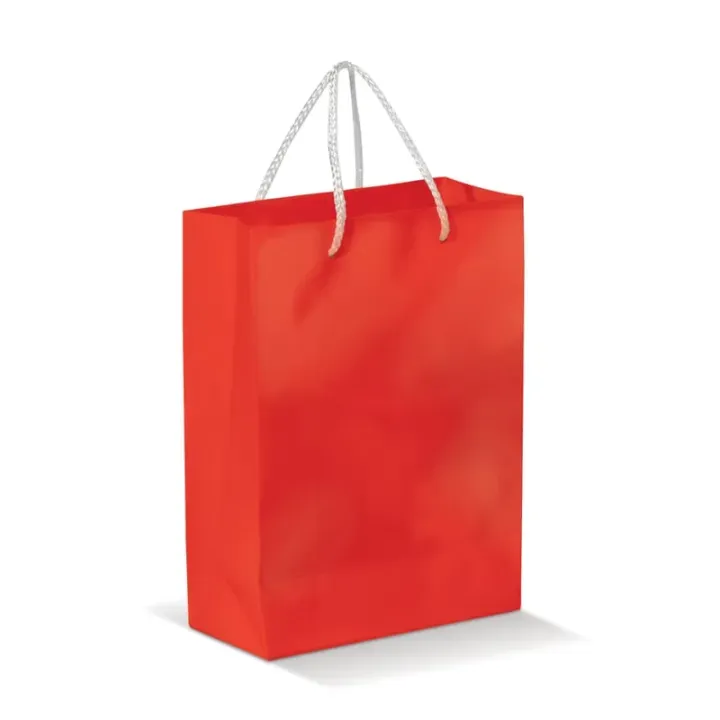 Paper bag small - LT91511 (N0021)