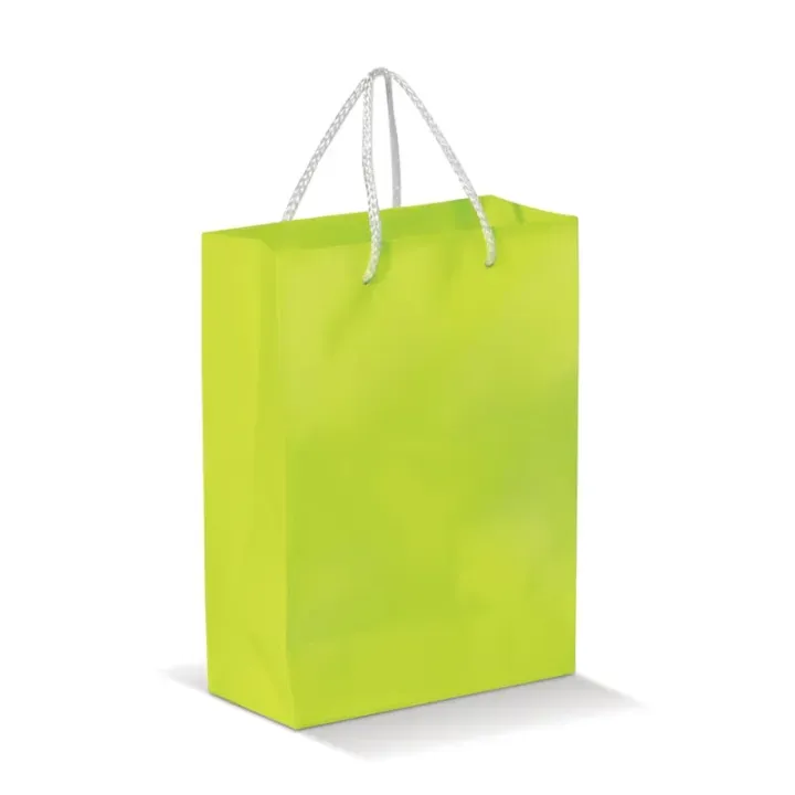 Paper bag small - LT91511 (N0032)