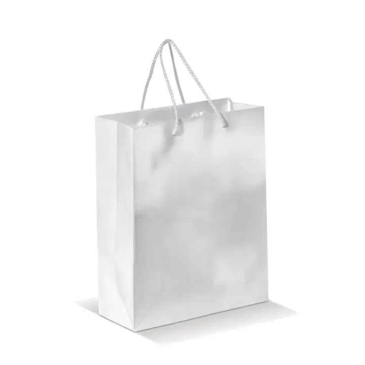 Medium paper bag with braided handles - LT91512 (N0001)