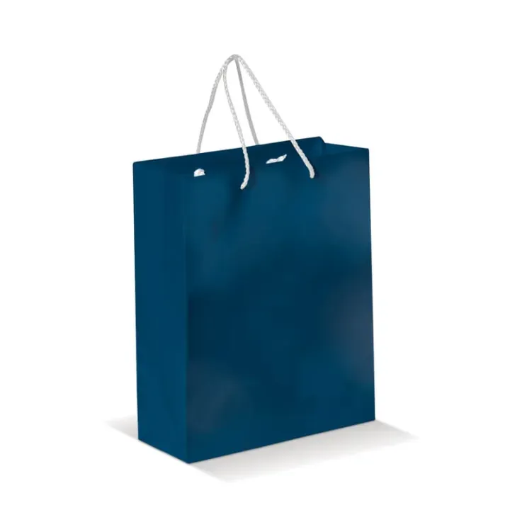 Medium paper bag with braided handles - LT91512 (N0010)