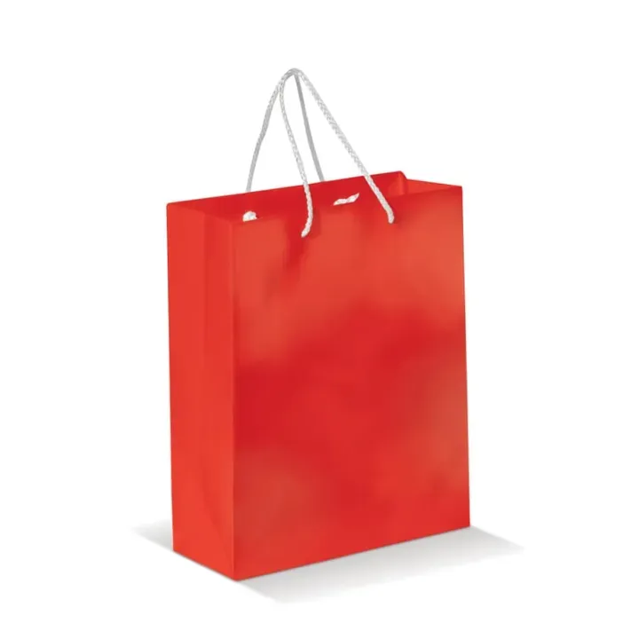 Medium paper bag with braided handles - LT91512 (N0021)