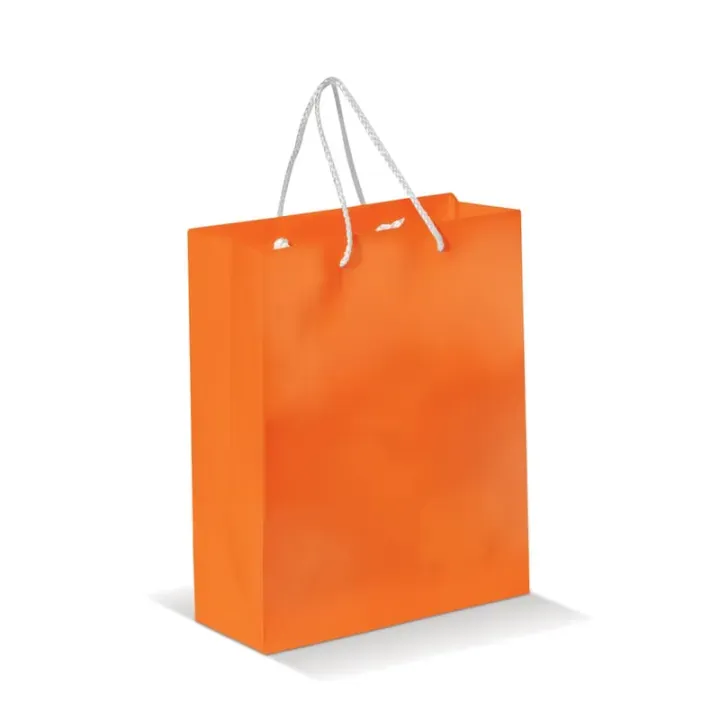 Medium paper bag with braided handles - LT91512 (N0026)