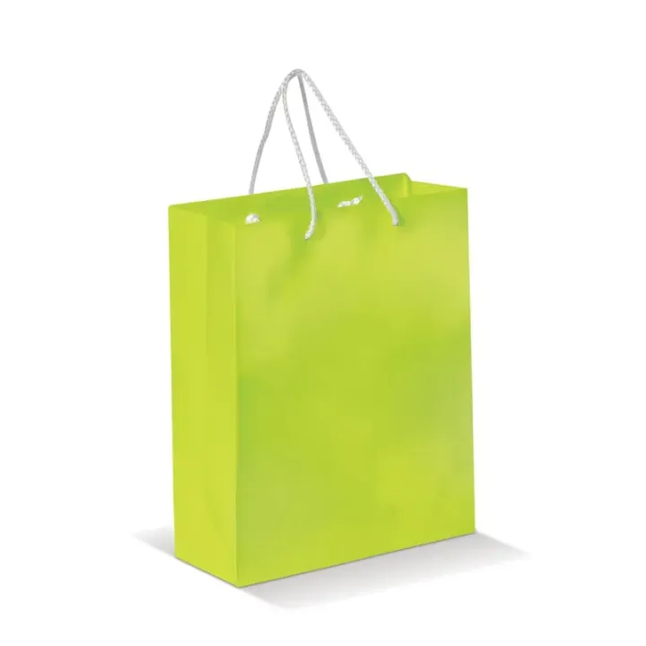 Medium paper bag with braided handles - LT91512 (N0032)