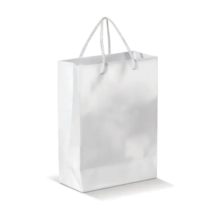 Large paper bag - LT91513 (N0001)