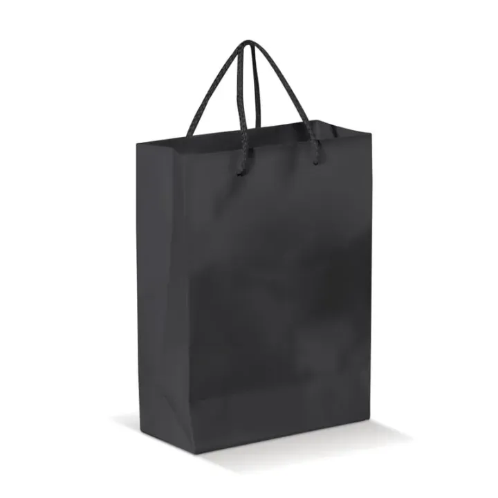 Large paper bag - LT91513 (N0002)