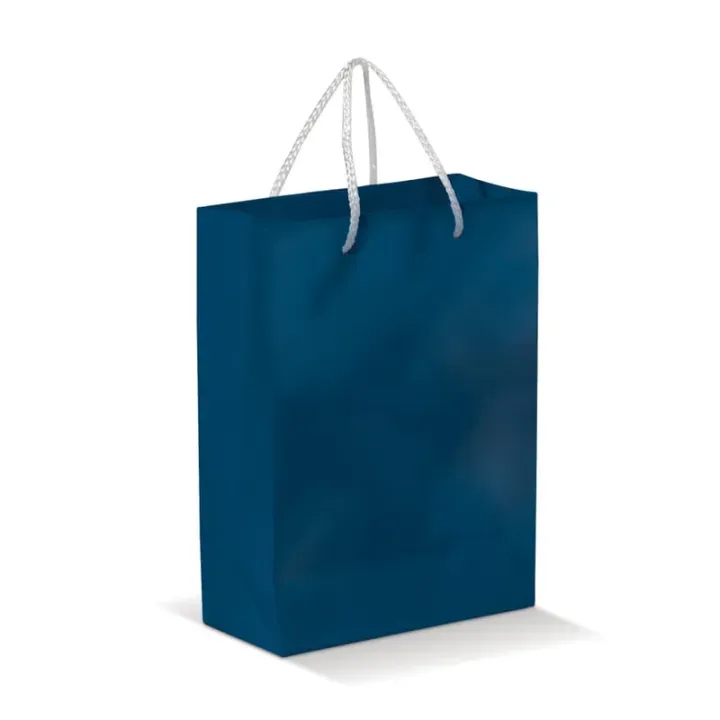 Large paper bag - LT91513 (N0010)