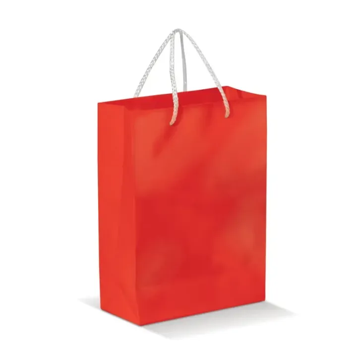 Large paper bag - LT91513 (N0021)