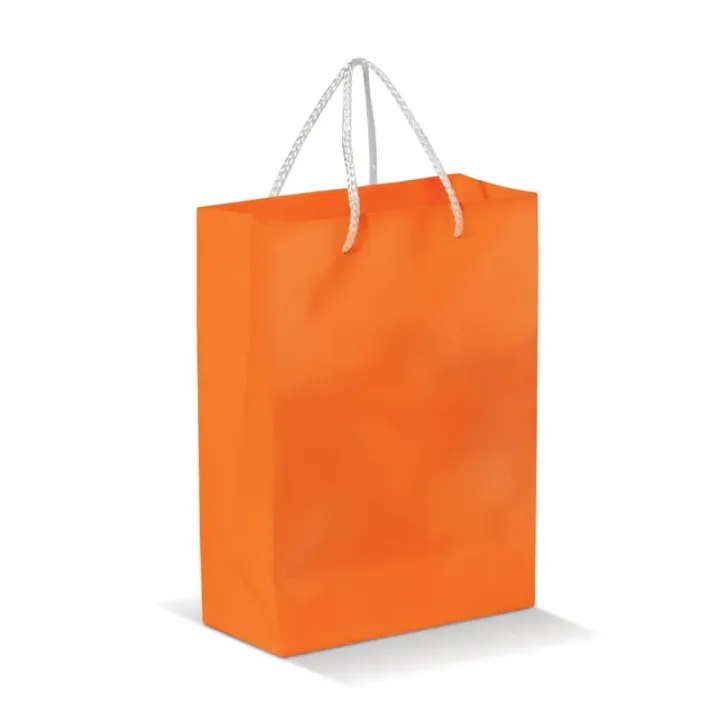 Large paper bag - LT91513 (N0026)