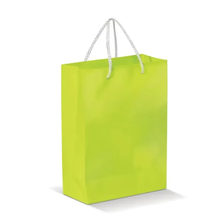 Large paper bag - LT91513 (N0032)