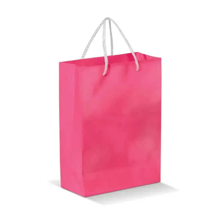 Large paper bag - LT91513 (N0076)