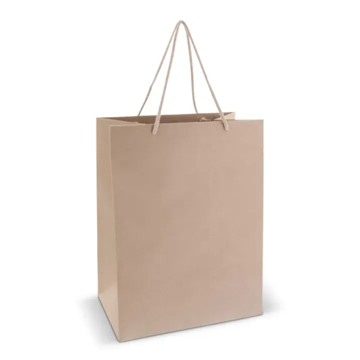 Paper gift bag with cotton handles - LT91627 (N0051)