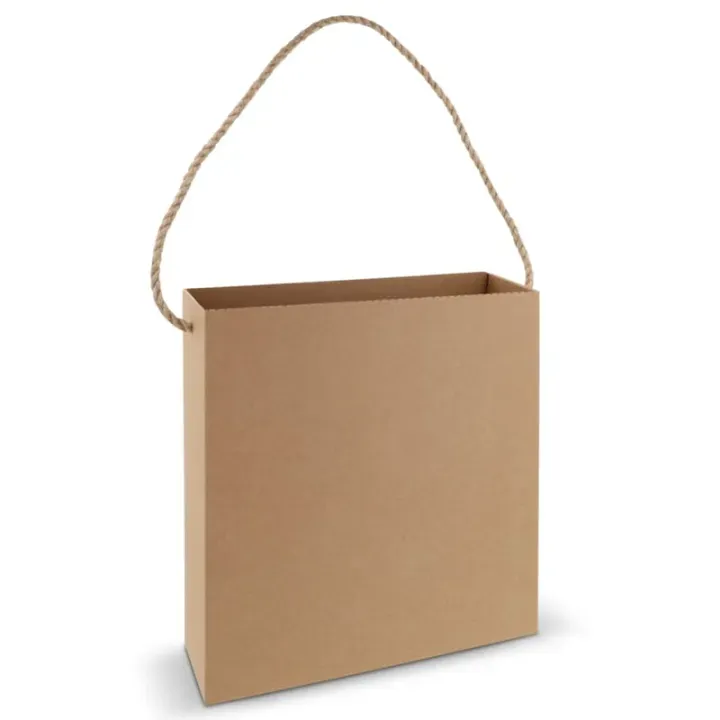 Vertical cardboard bag - LT91636 (N0051)