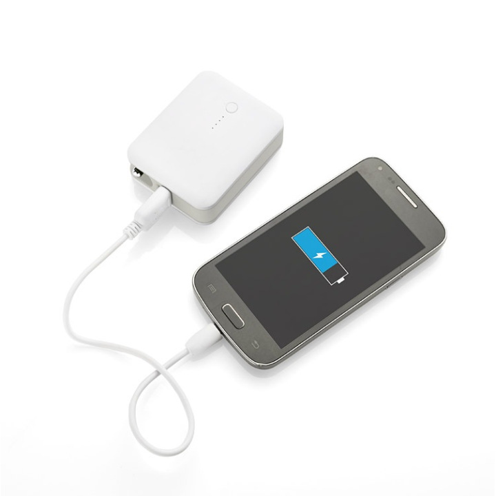 Power bank - 45081