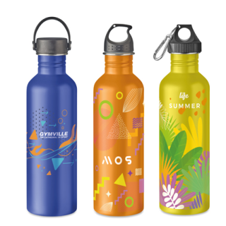 MS9450 - 500ml single wall stainless steel bottle