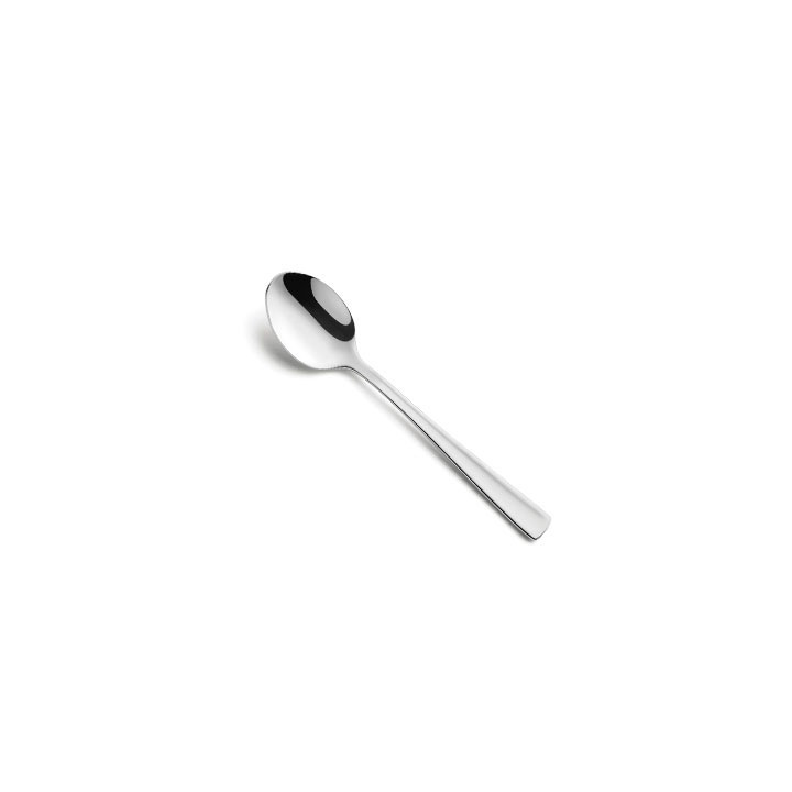 FERRUM TEA SPOON