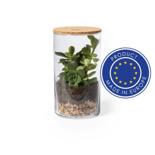 Szklane terrarium - V0917