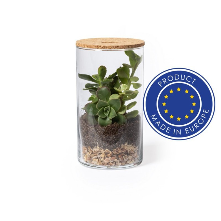 Szklane terrarium - V0917