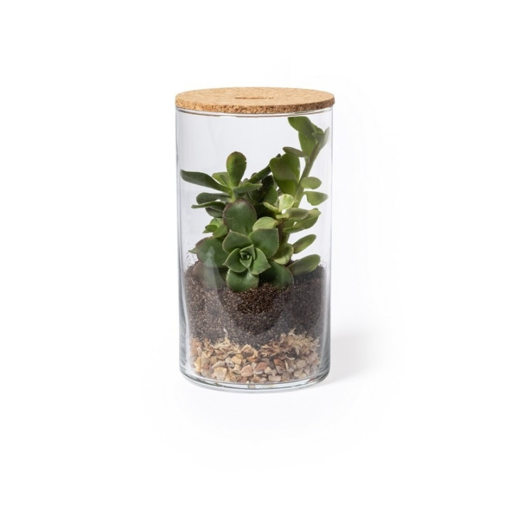 Szklane terrarium - V0917